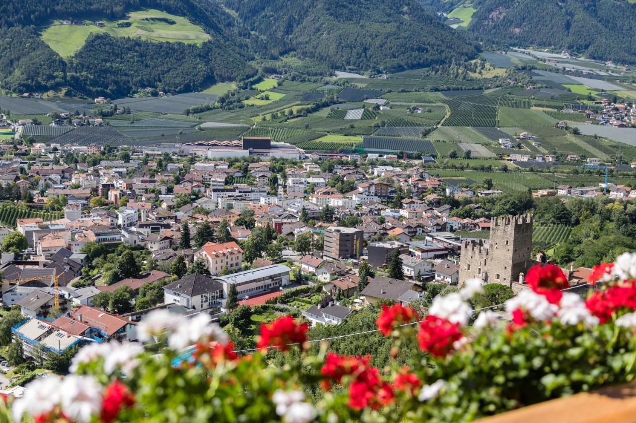 Gasthof Falkenstein ناتورنو المظهر الخارجي الصورة